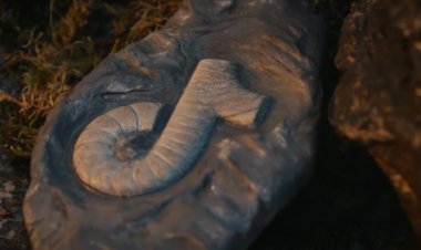 Ternyata TikTok Sudah Dibutuhkan Sejak Zaman Purbakala